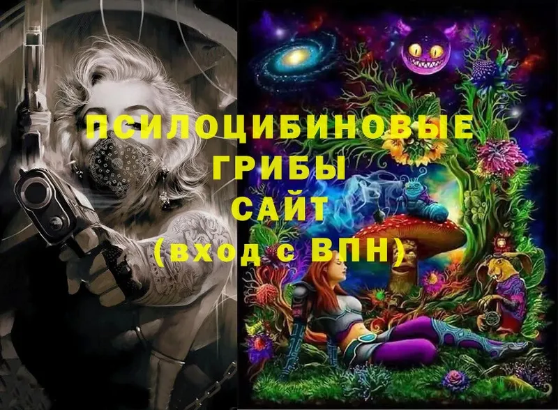 Галлюциногенные грибы Magic Shrooms  МЕГА ссылки  Порхов 